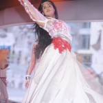 Karthika Stage Performance at KO Audio launch
